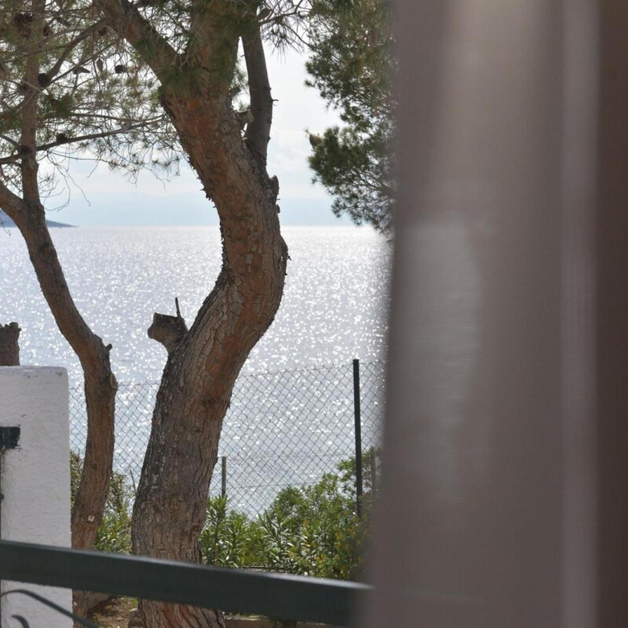 Salamis Beachfront House Kültér fotó
